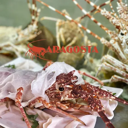 Aragosta Durres